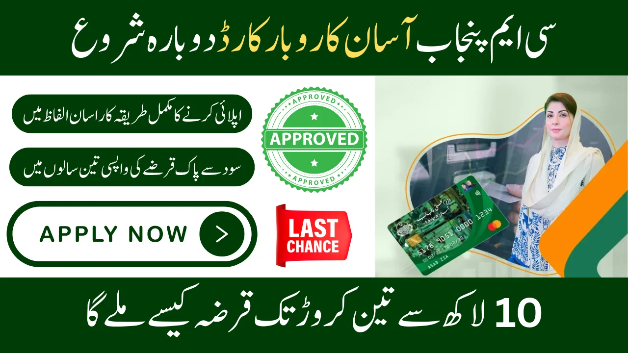 CM Punjab Asaan Karobar Card