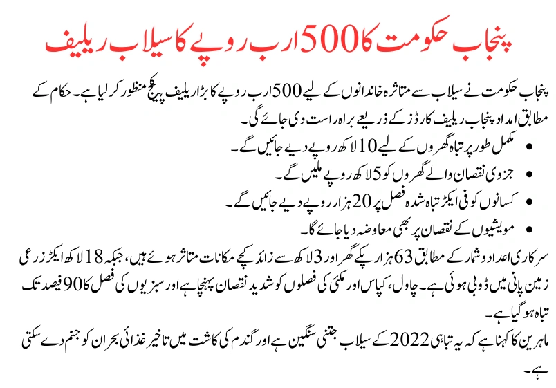 Punjab Finalizes Rs500 Billion Flood Relief Package