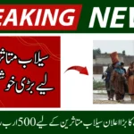 Punjab Finalizes Rs500 Billion Flood Relief Package