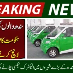Sindh to Launch Pakistans First Government-Run EV Taxi Service by December