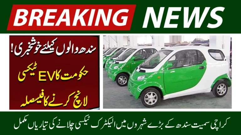 Sindh to Launch Pakistans First Government-Run EV Taxi Service by December